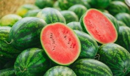 qq 吃瓜,网络舆论场中的热点追踪与娱乐风向标