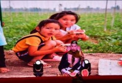 鄄城吃瓜的视频,一场视觉与味蕾的双重盛宴