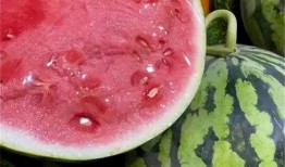 麒麟瓜不让孩子吃,守护孩子健康，拒绝诱惑的甜蜜陷阱