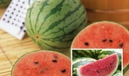 吃瓜五餐,揭秘美食背后的故事与传奇