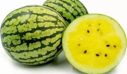 嘉凯城吃瓜,揭秘背后真相与行业影响