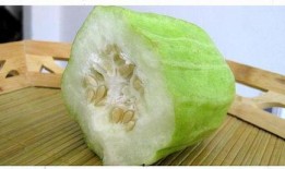 吃瓜菜视频,带你领略美食世界的多样魅力