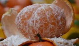 橘甜吃瓜,探寻夏日消暑美食之旅