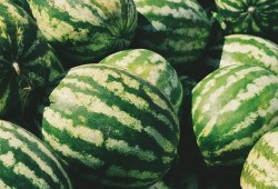 八带吃瓜,八带海怪与神秘瓜果的奇幻之旅