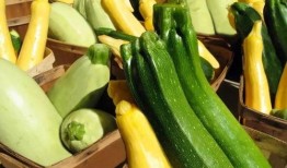 shift吃瓜,揭秘娱乐圈幕后风云