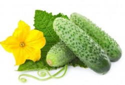 吃瓜系统叶轻轻