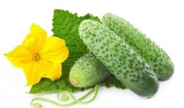 吃瓜系统叶轻轻