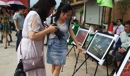 银川吃瓜群众事件,网络舆论的风暴与反思