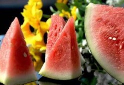 日本为了吃瓜,全民“吃瓜”热潮席卷而来