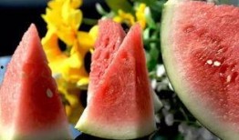 日本为了吃瓜,全民“吃瓜”热潮席卷而来