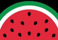 吃瓜不泪奔,揭秘娱乐圈幕后真相