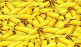 会长吃瓜的小号,揭秘幕后故事与趣味瞬间