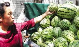 兰州哪里可以吃瓜,寻味瓜果天堂