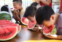 吃瓜大赛过程,一场舌尖上的狂欢盛宴