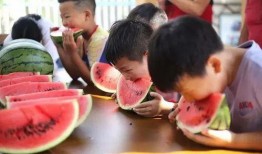 吃瓜大赛过程,一场舌尖上的狂欢盛宴