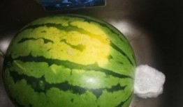 睿智吃瓜不吐瓜子,揭秘娱乐圈背后的真相