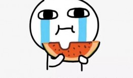 吃瓜查房,网络红人的崛起与争议