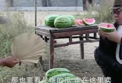 吃瓜不用钱了吗,揭秘免费吃瓜背后的秘密