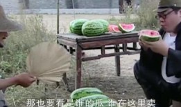 吃瓜不用钱了吗,揭秘免费吃瓜背后的秘密