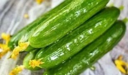 果果吃瓜,揭秘夏日消暑美食的甜蜜诱惑