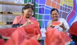 郯城吃瓜,一场别开生面的吃瓜盛宴