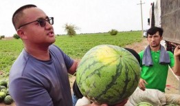 陈凯伦吃瓜,揭秘娱乐圈幕后真相