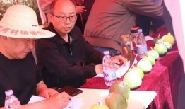 任城区吃瓜群众,吃瓜群众热议，揭秘当地生活百态