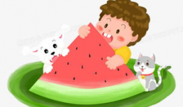 吃瓜儿童图片,揭秘吃瓜儿童的欢乐时光