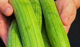 瓜都怎么吃,解锁夏日清凉新吃法