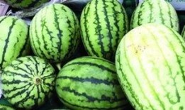 什么是围观吃瓜,揭秘围观吃瓜背后的社会现象与心理动机