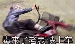 阿婆吃瓜表情视频