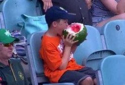 吃瓜群众红烈,揭秘吃瓜群众背后的故事