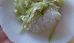 瓠子瓜怎么煎着吃,家常煎瓜新尝试