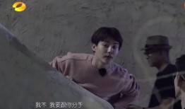 吃瓜磕上头,磕上头的人生百态