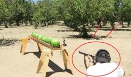 用枪吃瓜,揭秘用枪吃瓜背后的故事