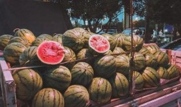 西昌将军里吃瓜