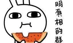 扣扣吃瓜资源群,网络社交的另类现象