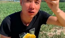 你吃瓜的样子真美,你的吃瓜姿势真美