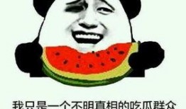 吃瓜打数字,数字背后的秘密与真相