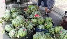 尤溪铺头吃瓜事件,一场引发热议的街头冲突