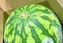 吃瓜武汉网红,网红美食探秘之旅