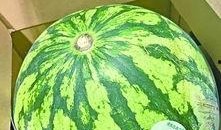 吃瓜武汉网红,网红美食探秘之旅