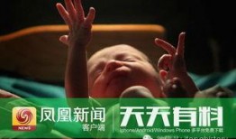 何时贞 吃瓜,揭秘娱乐圈的瓜田秘闻