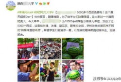 陕西吃瓜大学招生,招生亮点与特色解读