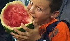 吃瓜群众红烈,揭秘吃瓜群众背后的故事