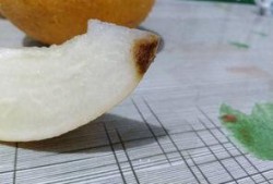 吃哈密瓜头变哈密瓜,揭秘哈密瓜头变哈密瓜的神奇现象