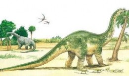 吃瓜恐龙巨大,探寻史前巨兽的饮食习惯与生活习性