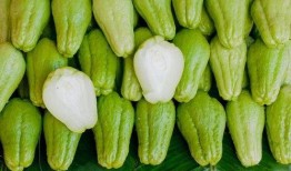 扁豆和佛手瓜能一起吃吗