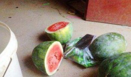 外地人吃银瓜,舌尖上的地方特色之旅