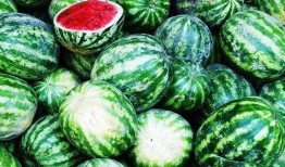 西瓜吃瓜的,夏日消暑新风尚